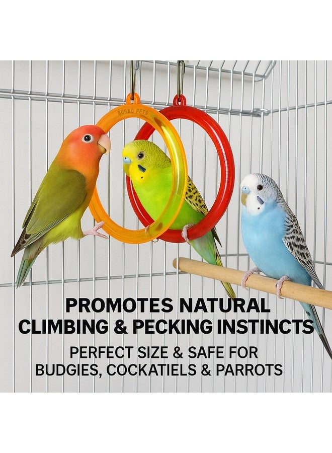 Buraq 3 Pcs Interactive Playful Bird Hanging Ring - for Hanging Swing | Holding | Chewing & Playing | Set Suitable for Love Birds | Budgies | Parrot | Cockatiel | Conure | Finches - Image 2