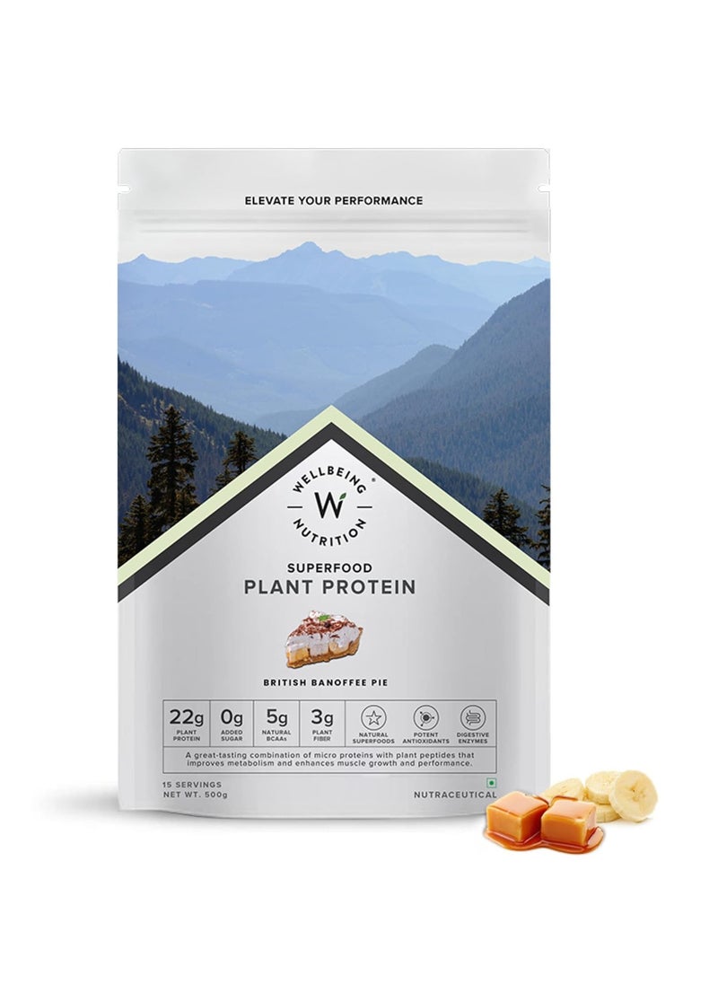 WELLBEING NUTRITION Wellbeing Nutrition Organic Vegan Plant Protein Isolate Powder | 22g Protein, 5g BCAA European Pea & Brown Rice Protein | Superfoods, Fiber for Muscle Growth & Recovery | British Banoffee Pie -500gm  - Image 1