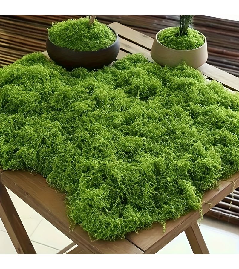30g Artificial Moss Rocks Realistic Plastic Moss For DIY Crafts Home Decor Miniature Landscapes Potted Plant Accents - Image 5