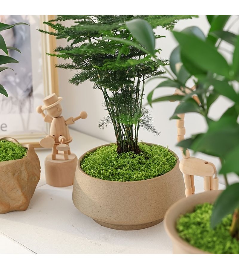 30g Artificial Moss Rocks Realistic Plastic Moss For DIY Crafts Home Decor Miniature Landscapes Potted Plant Accents - Image 2