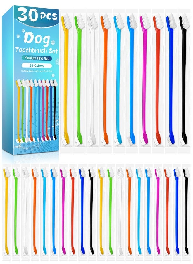 Navona 30 PCS Dog Toothbrushes, Double Headed Anti Slip Dog Tooth Brushing Kits, Cat Toothbrush, Pet Toothbrush for Dogs, Easy to Clean and Care for Teeth, Suitable for Small to Large Dogs and Cats - Image 1