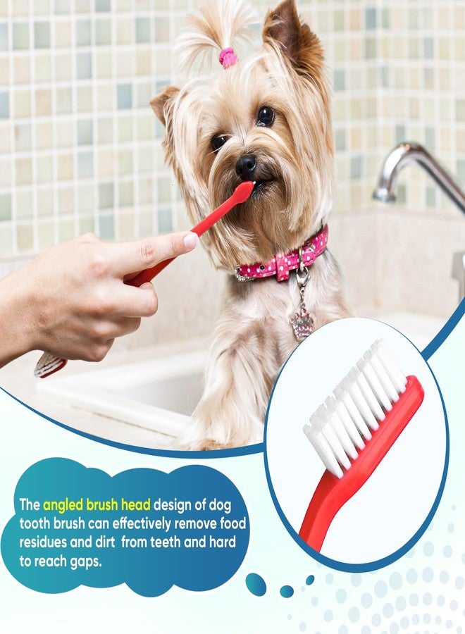 Navona 30 PCS Dog Toothbrushes, Double Headed Anti Slip Dog Tooth Brushing Kits, Cat Toothbrush, Pet Toothbrush for Dogs, Easy to Clean and Care for Teeth, Suitable for Small to Large Dogs and Cats - Image 5