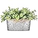 Dahey Artificial Eucalyptus Leaves Faux Plants Indoor for Home Decor, Desk Fake Potted Plants in Rustic Rectangular - Image 2