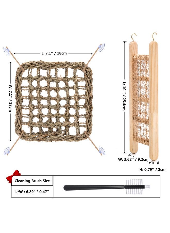 مجموعة ألعاب السلطعون الناسك وأراجيح الأعشاب البحرية وجسور السلم الخاصة بالسلطعون الناسك مع فرشاة صغيرة، وإكسسوارات السلطعون الناسك هي ديكورات وإكسسوارات مثالية لأحواض السمك والخزانات. آمنة للحيوانات الأليفة الصغيرة - Image 2