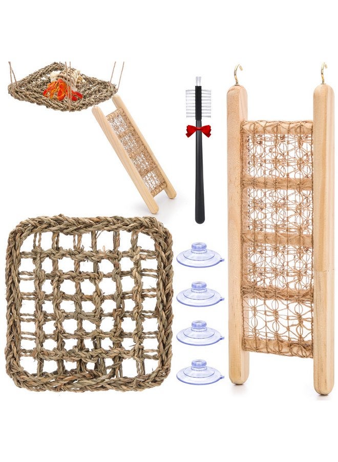 مجموعة ألعاب السلطعون الناسك وأراجيح الأعشاب البحرية وجسور السلم الخاصة بالسلطعون الناسك مع فرشاة صغيرة، وإكسسوارات السلطعون الناسك هي ديكورات وإكسسوارات مثالية لأحواض السمك والخزانات. آمنة للحيوانات الأليفة الصغيرة - Image 1