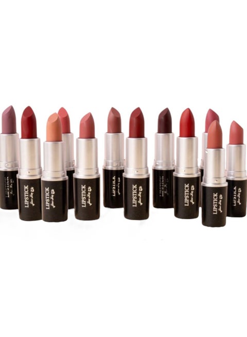12-Piece MAKE UP Lipstick