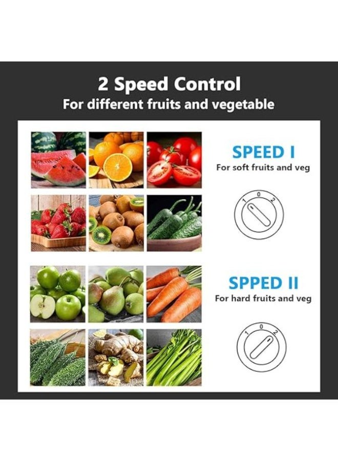 سيلفر كريست عصارة طرد مركزي من الفولاذ المقاوم للصدأ بقوة 800 وات (خالية من مادة BPA)، عصارة لعصر الفواكه والخضروات - فتحة تغذية بعرض 65 مم، وضع سرعة مزدوج مثالي للاستخدام الداخلي والخارجي (فضي) - Image 5