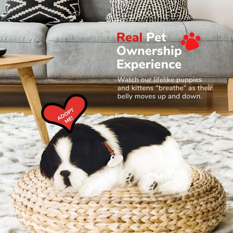 Perfect Petzzz Border Collie, Toys for Kids and Elderly, Realistic Dog Stuffed Animals, Battery-Operated Stuffed Dog, Companion Interactive Pets with Synthetic Fur - Image 5