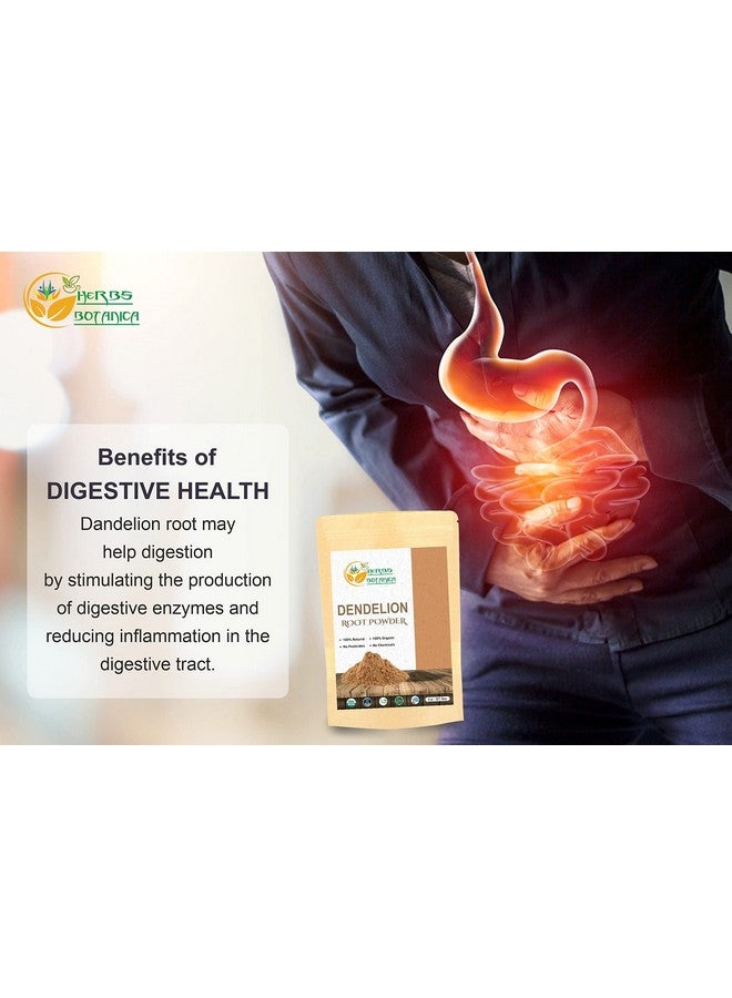 HERBS BOTANICA مسحوق جذر الهندباء العضوي لتنظيف الجسم ودعم صحة الجهاز الهضمي غني بالعناصر الغذائية ومضادات الأكسدة 100% طبيعي وصديق للنباتيين 1/2 رطل / 227 جرام - Image 4