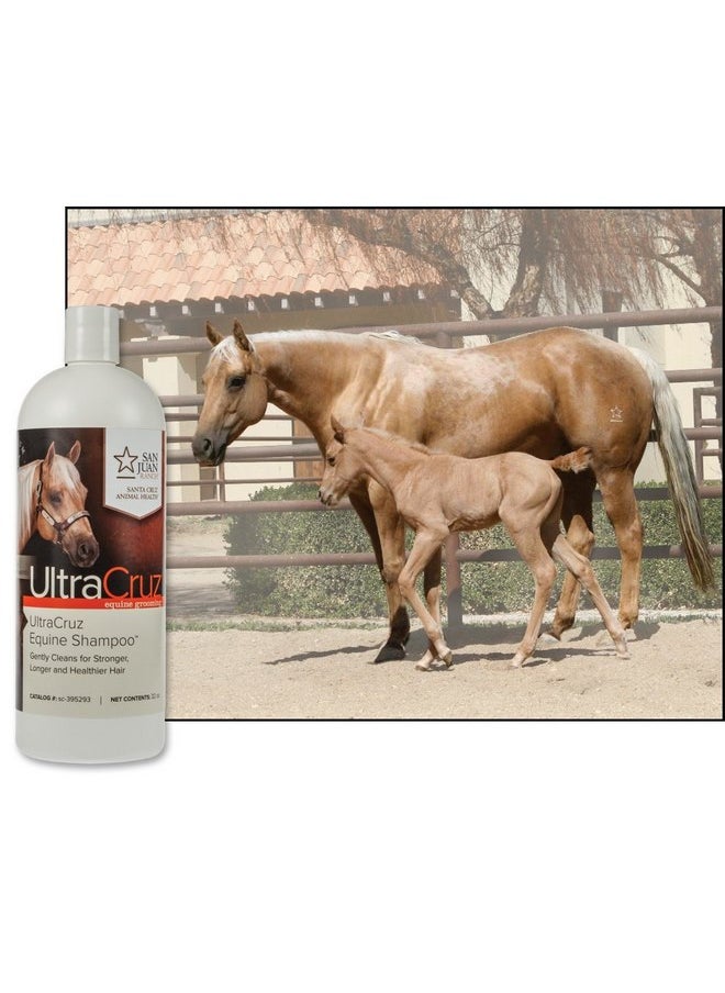 UltraCruz UltraCruz-sc-395293 Equine Horse Shampoo, 32 oz  - Image 4