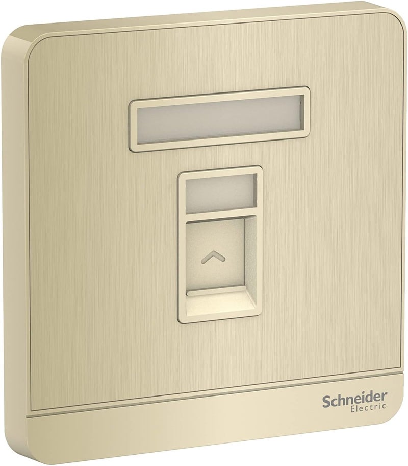 Schneider Electric AvatarOn Gold Hairline RJ45 Wallplate