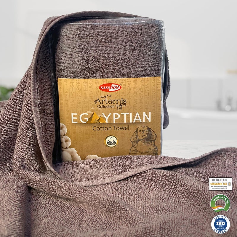 Sassoon Artemis Egyptian 2 Piece Cotton Hand Towel | 40x60 cm | Walnut - Image 3