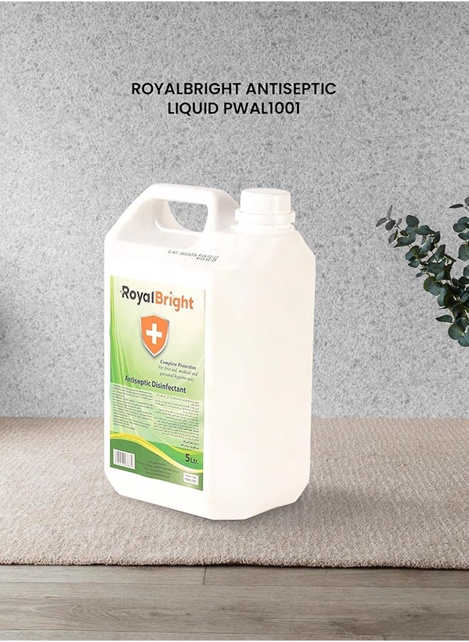 packwell Royalbright Antiseptic Disinfectant Liquid 5 liter Antiseptic For Everyday Use, Suitable for Home, Office and Commercial Space Use| Perfect for Medical Use, Personal Hygiene, Household Use, First Aid  - Image 4