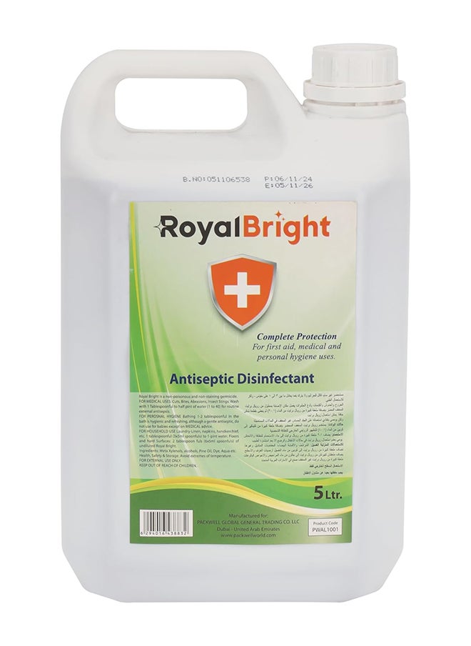 packwell Royalbright Antiseptic Disinfectant Liquid 5 liter Antiseptic For Everyday Use, Suitable for Home, Office and Commercial Space Use| Perfect for Medical Use, Personal Hygiene, Household Use, First Aid  - Image 1