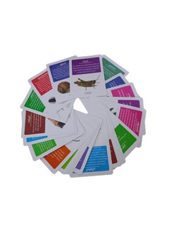 Write and erase Did you know the world of insects 25 cards for ages 4-8 years  - Image 2
