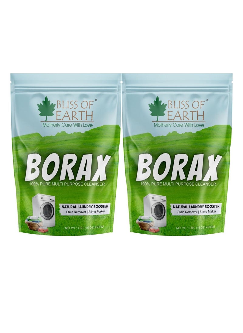 BLISS OF EARTH Bliss of Earth American Borax Detergent Booster Powder Slime Activator Multipurpose Cleaning & Stain Remover Powder Ant Killer 100% Pure Natural Sodium Borate Powder 2x453gm  - Image 1