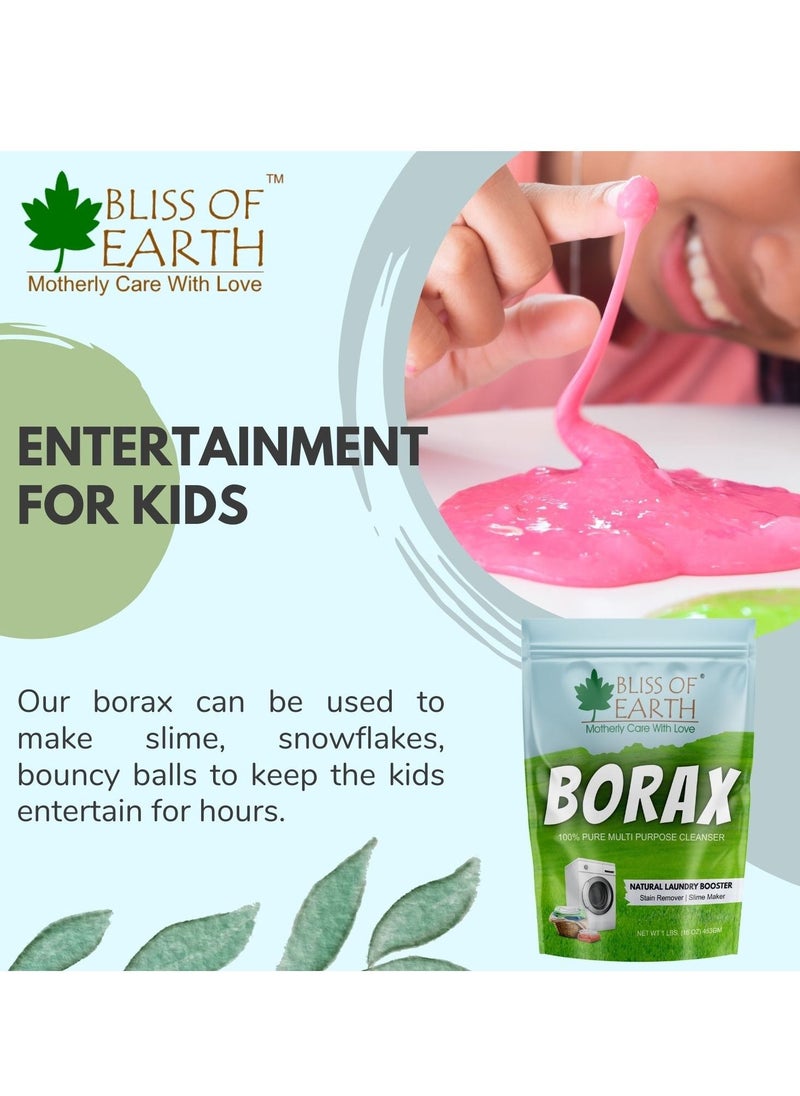 BLISS OF EARTH Bliss of Earth American Borax Detergent Booster Powder Slime Activator Multipurpose Cleaning & Stain Remover Powder Ant Killer 100% Pure Natural Sodium Borate Powder 2x453gm  - Image 5