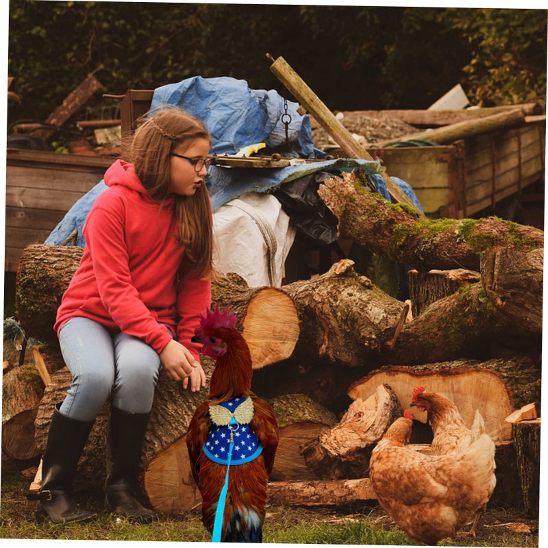 Blue Chicken Harness And Leash Set Decorative Poultry Vest Costume Accessory - Image 5
