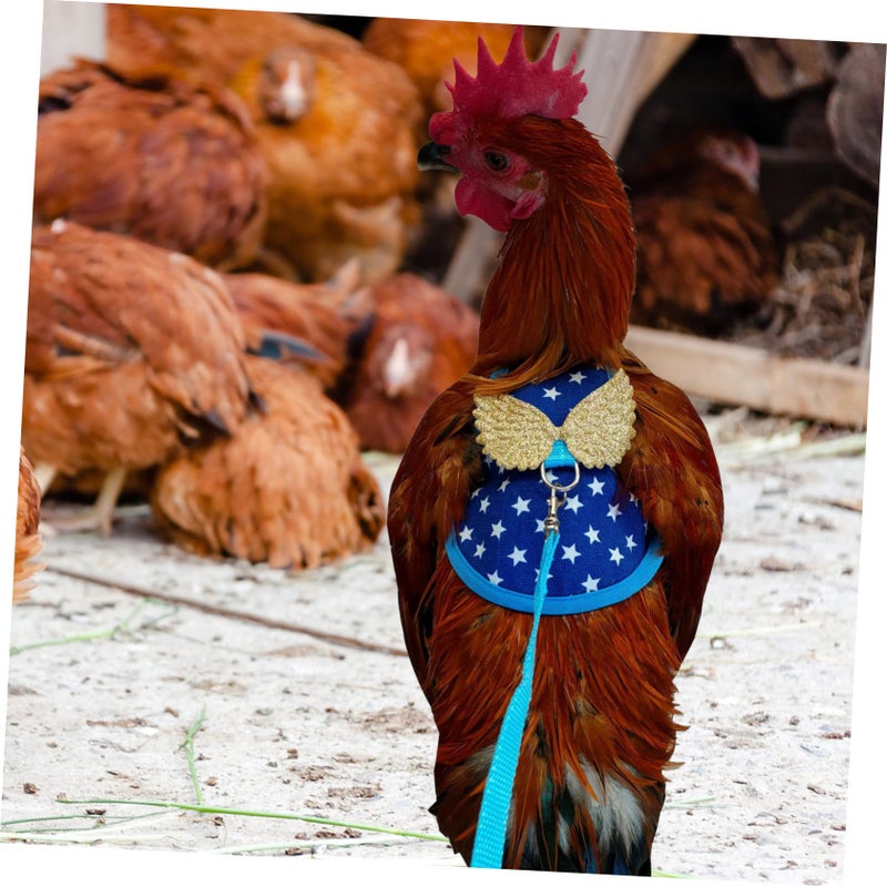 Blue Chicken Harness And Leash Set Decorative Poultry Vest Costume Accessory - Image 4