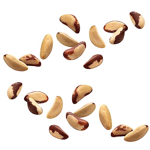 Fruidles Raw Brazil Nuts, Non-GMO, Gluten-Free, Healthy Fat, Emergancy Food, Survival Food (Half-Pound) - Image 3