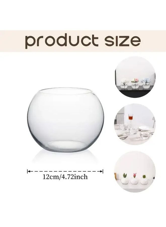 1 قطعة حوض أسماك زجاجي دائري مع غطاء للأسماك الصغيرة والنباتات النضرة - Image 3