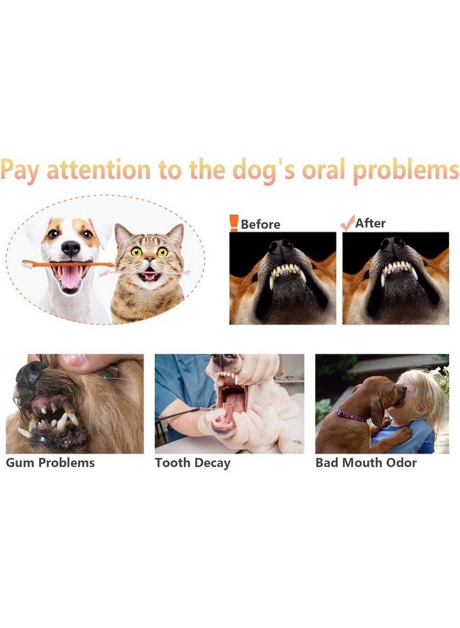 بت فرشاة أسنان مزدوجة الرأس للكلاب والقطط بمقبض طويل فرشاة أسنان للحيوانات الأليفة فرشاة أسنان مزدوجة الطرف للكلاب بشعيرات ناعمة فرشاة تنظيف أسنان الكلاب للكلاب الأليفة والجراء والقطط الصغيرة العناية بالأسنان - Image 5