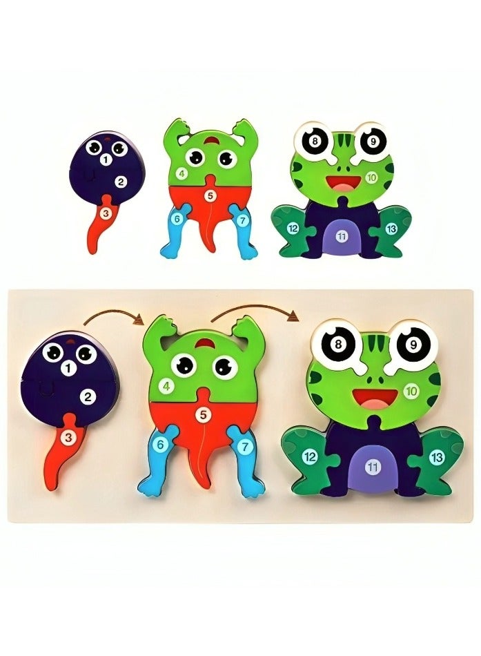 Wooden 3D Puzzles Animal Life Growth Cycle, Teacher Parents Early Learning Support Tools, Attractive Colors and Patterns, Montessori  Motor Skill Development Toys, Ideal Kids Gift (Frog Shape) - Image 1
