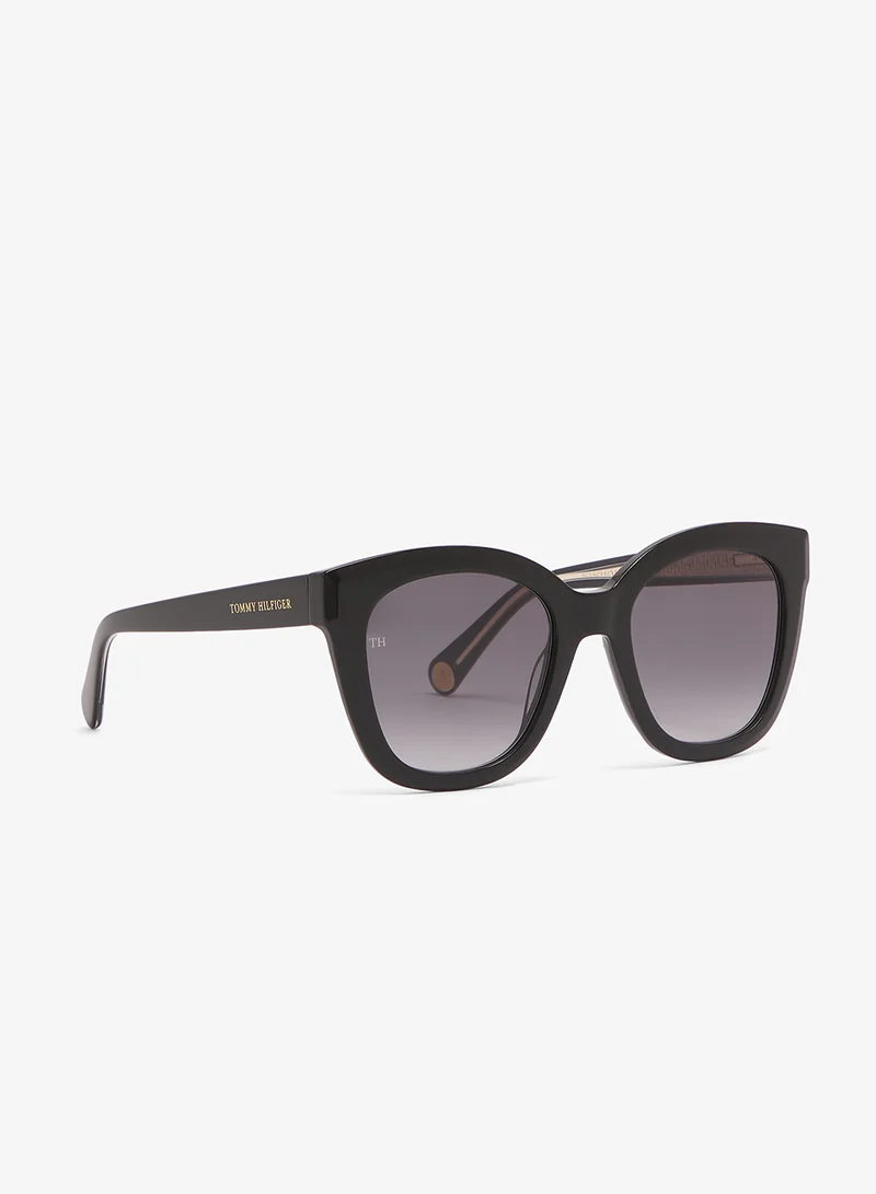 Wayfarers Sunglasses