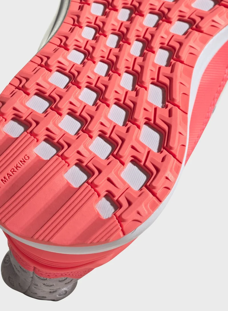 Adidas Rapida Sports Unisex Shoes
