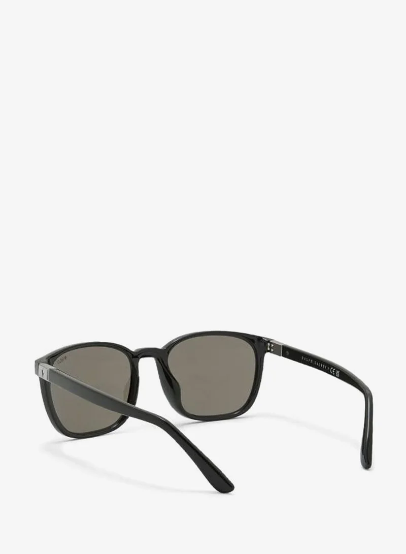 Polo Ralph Lauren  0Ph4208U Round Sunglasses for Men | Best Price UAE