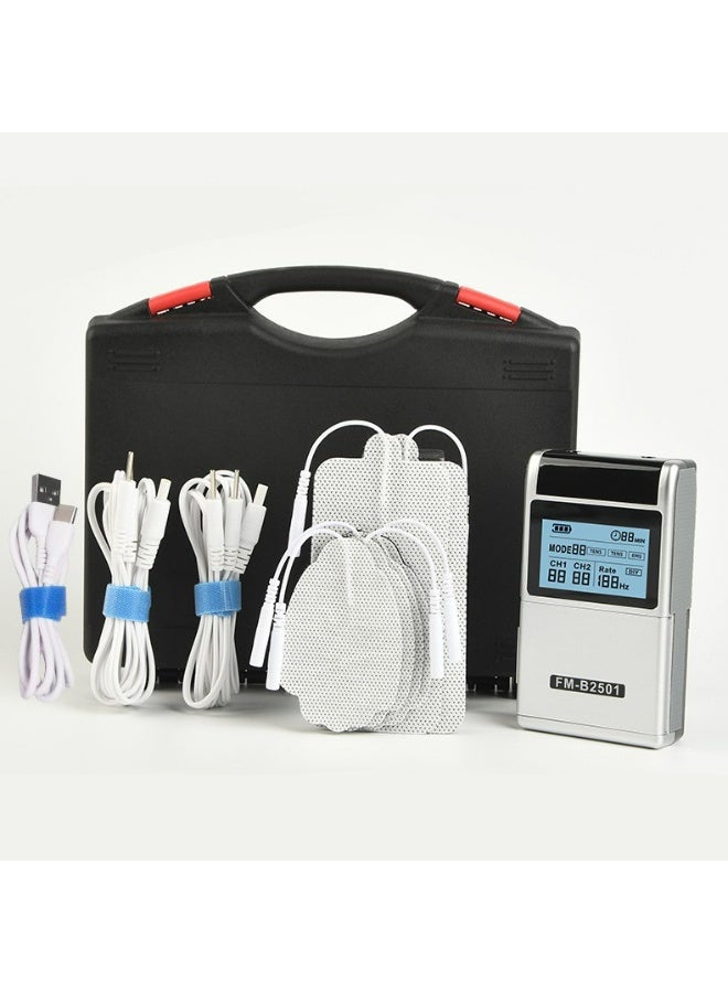 HaDoii Home Meridian Massage Instrument Electric Needle Low Frequency Electronic Pulse Physiotherapy Instrument for Pain Relief Therapy/Pain with Electrode Pads and Cables (Silver) - Image 2