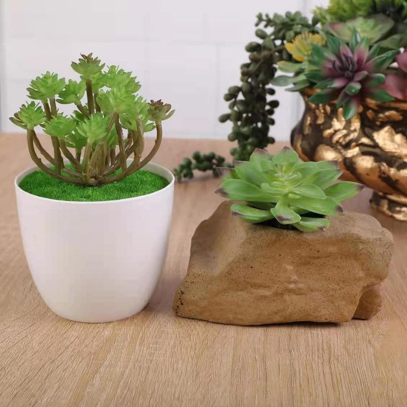 COTSEN 18 Pack Artificial Succulents Realistic Textured Fake Succulents Unpotted Artificial Cactus Plant Suitable for Garden Home Office Greening and Decoration - Image 5