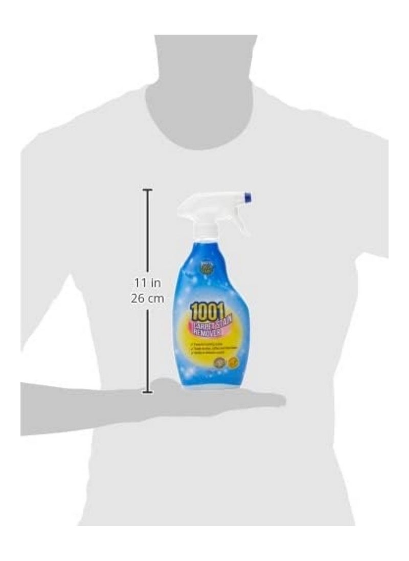 1001 - Carpet Stain Remover 500 ML - Image 1