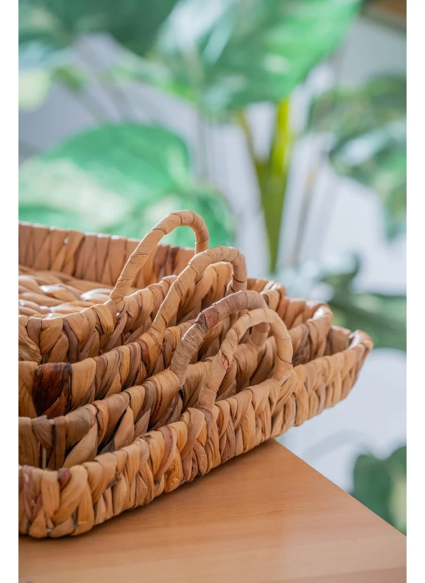 Acar Wicker 4 Piece Wicker Square Basket