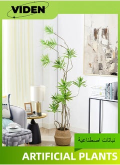 Lily Bamboo Green