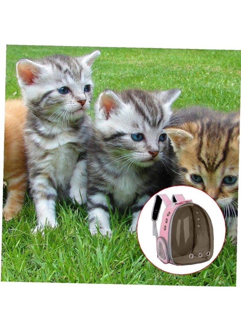 Breathable backpack with double shoulder straps for carrying pets, cats- and dogs for outings and travel- pet supplies - Image 2