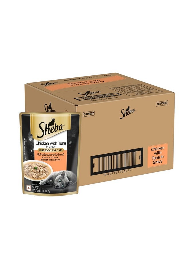 شيبا طعام القطط الرطب الفاخر الفاخر للبالغين (1+ سنة)، دجاج مع تونة في المرق، كيس 70 جرام (عبوة من 24)، طعام قطط عالي الرطوبة مع المرق لترطيب صحي - Image 3