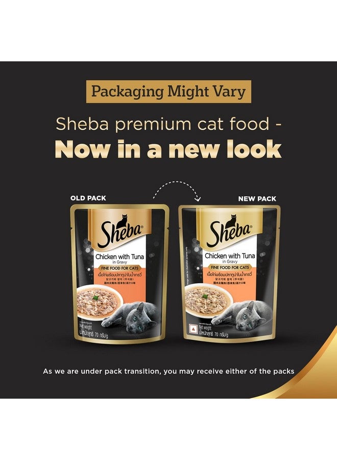 شيبا طعام القطط الرطب الفاخر الفاخر للبالغين (1+ سنة)، دجاج مع تونة في المرق، كيس 70 جرام (عبوة من 24)، طعام قطط عالي الرطوبة مع المرق لترطيب صحي - Image 2