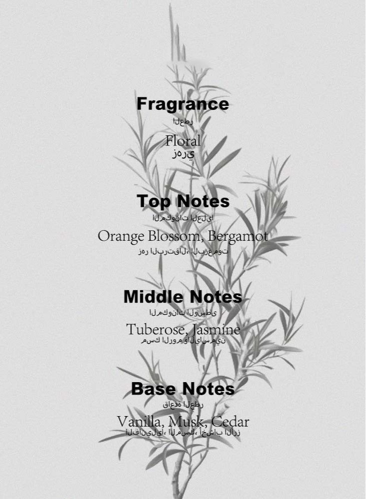 في في لوف بيلا/عطر زهري/35مل - Image 2