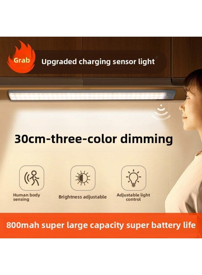 إسكدنيا مصباح LED رفيع للغاية بثلاثة ألوان ذكي لجسم الإنسان يشحن لاسلكيًا ذاتي اللصق خزانة النبيذ مصباح خزانة خزانة المطبخ مصباح LED المواصفات: عمر بطارية قوي - نموذج رفيع - 30 سم - ثلاثة يعتم - Image 1