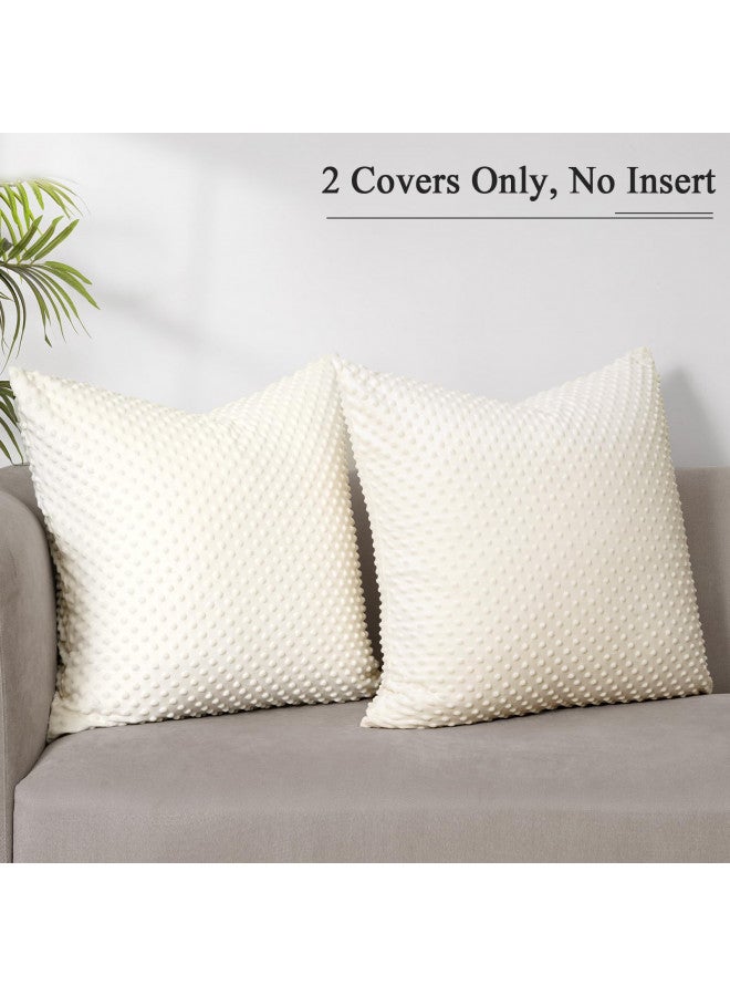 PHF PHF Minky Dot Throw Pillow Cover 24"x 24", 2 Pack Soft Cozy Minky Bubble Real Velvet Cushion Cover, No Insert, Home Decorative Pillow Shams Shell for Couch Sofa Bed, Cream  - Image 1