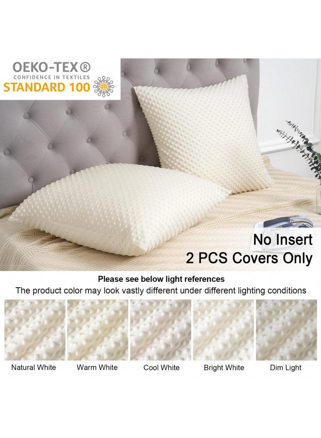 PHF PHF Minky Dot Throw Pillow Cover 24"x 24", 2 Pack Soft Cozy Minky Bubble Real Velvet Cushion Cover, No Insert, Home Decorative Pillow Shams Shell for Couch Sofa Bed, Cream  - Image 2
