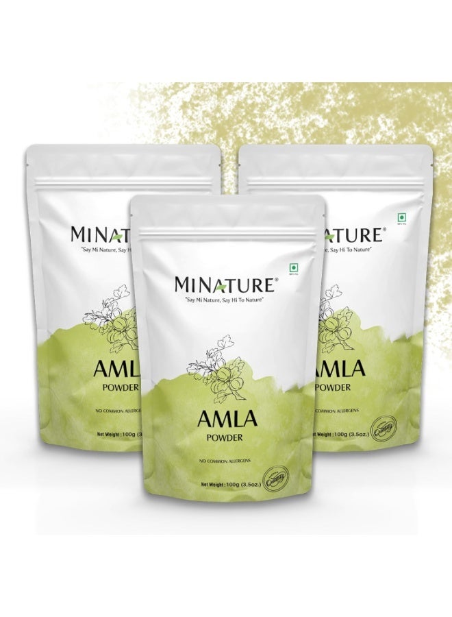 minature Mi Nature 100% Pure Amla Powder Pack of 3 (Each pack 100g (3.5oz) |Natural Vitamin C Rich Indian Gooseberry Powder |Traditional Superfood for Hair Care| Skin Health & Immune Support - Image 1