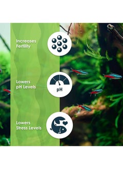 SunGrow 50 Pcs Mini Catappa Indian Almond Leaves For Betta Fish Aquarium, Shrimp, Frogs, Improves Habitat, Gives Tea Color, Helps In Lowering Aquarium Water Ph, Improves Immunity  - Image 4