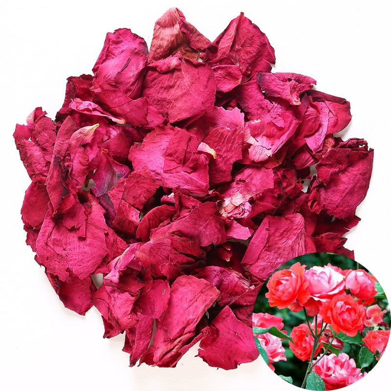 TooGet Dried Real Rose Petals All Natural Dried Flower Petals for Herbal Tea Dried Rose Petals for Wedding Party Decoration Bath Body Wash Foot Wash Tea Baking Potpourri Crafting2OZ  Red