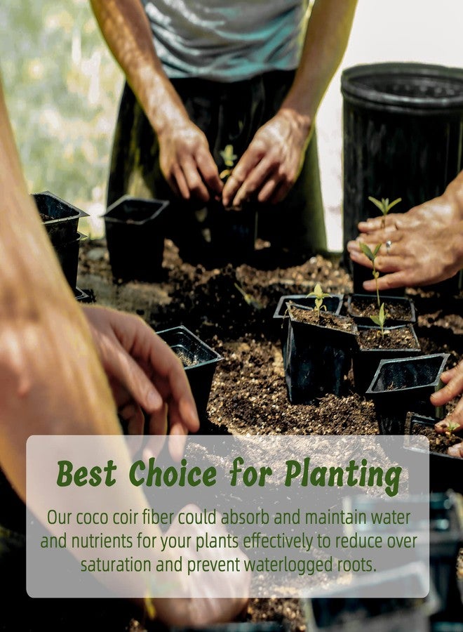 CJGQ Coco Coir Brick for Plants, 4 Packs 100% Natural Organic Compressed Coconut Coir Fiber with Low EC & PH Balance, High Nutrition Coconut Soil Coco Fiber for Planting, Herbs - Image 2