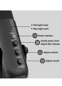 MC-PW8 USB  Desktop Condenser Microphone - pzsku/Z70F621F668CB6AB4DFBFZ/45/_/1739907477/d09ae20d-c0f3-413e-8136-58e5122164e1