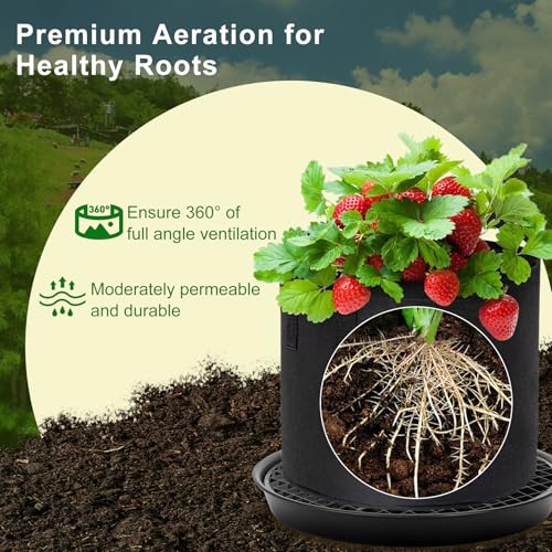P Polerden 4 Pack Self Watering Fabric Pot Base 14 inch Auto Pots Fit for 5 Gallon Grow Bags Auto Watering Plant Saucer for Fabric Planters Plant Saucers Flower Pot Tray 3 Year Warranty - Image 3