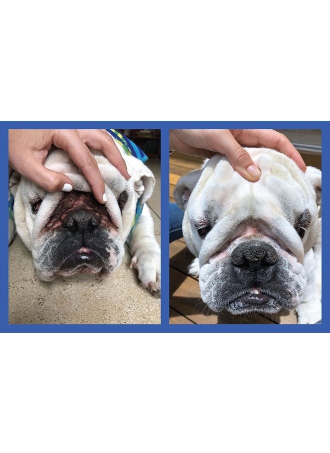 Squishface - Wrinkle Paste - Bulldog, French Bulldog, Pug, English Bulldog – Cleans Wrinkles, Tear Stain, Tail Pockets, and Paws – Anti-Itch Tear Stain Remover & Bulldog Wrinkle Cream, 2 Oz. - Image 1