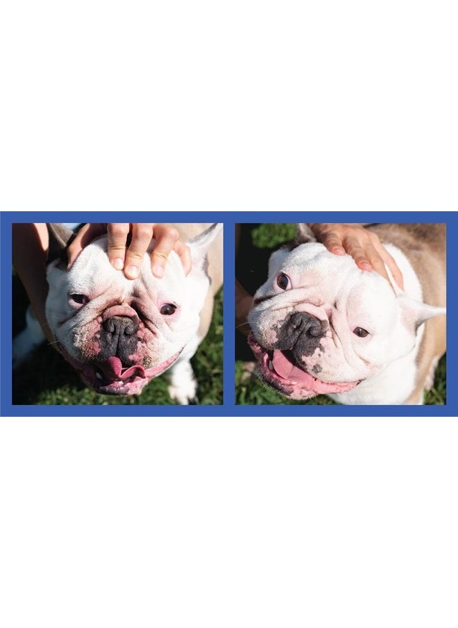Squishface - Wrinkle Paste - Bulldog, French Bulldog, Pug, English Bulldog – Cleans Wrinkles, Tear Stain, Tail Pockets, and Paws – Anti-Itch Tear Stain Remover & Bulldog Wrinkle Cream, 2 Oz. - Image 1